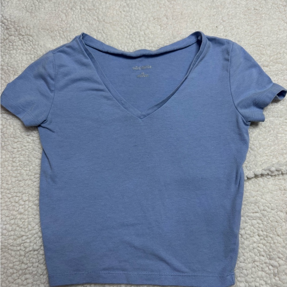 Wild Fable Blue Fitted Crop T-Shirt